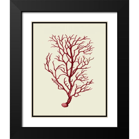 Corals Coral On Cream b Black Modern Wood Framed Art Print with Double Matting by Fab Funky