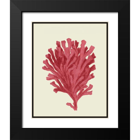 Corals Coral On Cream d Black Modern Wood Framed Art Print with Double Matting by Fab Funky