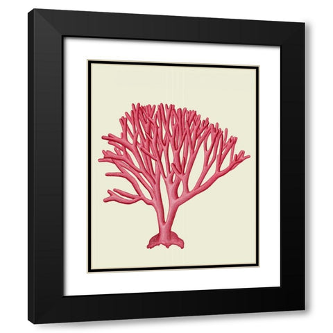 Red Corals 1 c Black Modern Wood Framed Art Print with Double Matting by Fab Funky