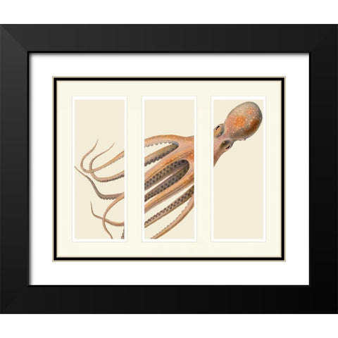 Octopus on 3 panels Black Modern Wood Framed Art Print with Double Matting by Fab Funky