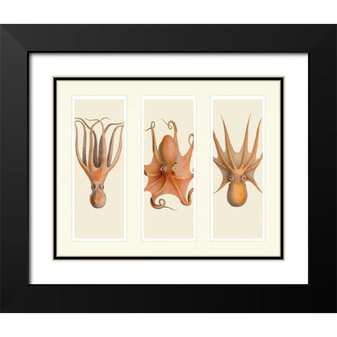 Trio of Octopus on 3 Panels Black Modern Wood Framed Art Print with Double Matting by Fab Funky