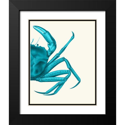 Contrasting Crab in Turquoise a Black Modern Wood Framed Art Print with Double Matting by Fab Funky