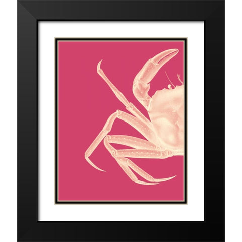 Contrasting Crab in Pink a Black Modern Wood Framed Art Print with Double Matting by Fab Funky