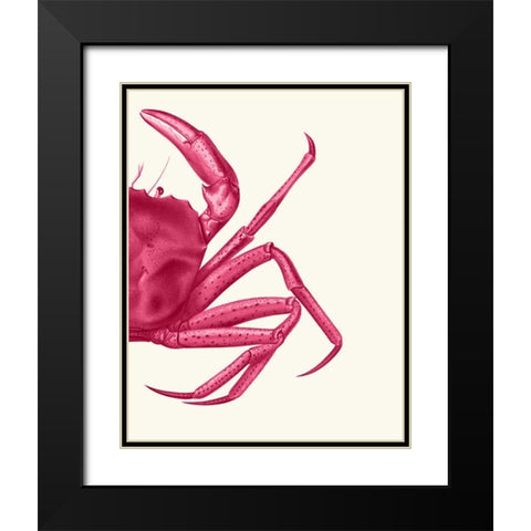 Contrasting Crab in Pink b Black Modern Wood Framed Art Print with Double Matting by Fab Funky