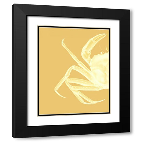 Contrasting Crab in Mustard a Black Modern Wood Framed Art Print with Double Matting by Fab Funky