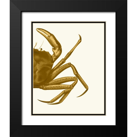 Contrasting Crab in Mustard b Black Modern Wood Framed Art Print with Double Matting by Fab Funky