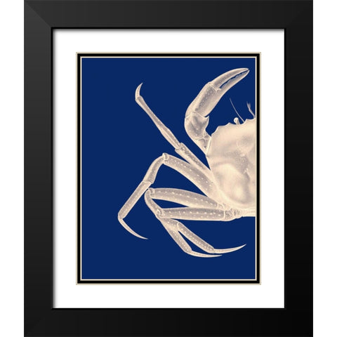 Contrasting Crab in Navy Blue a Black Modern Wood Framed Art Print with Double Matting by Fab Funky