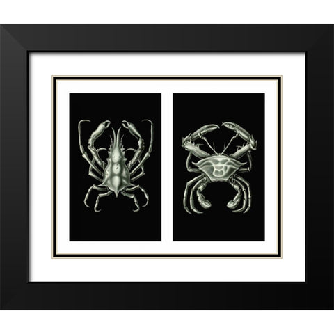 Crabs On Black in 2 panels Black Modern Wood Framed Art Print with Double Matting by Fab Funky