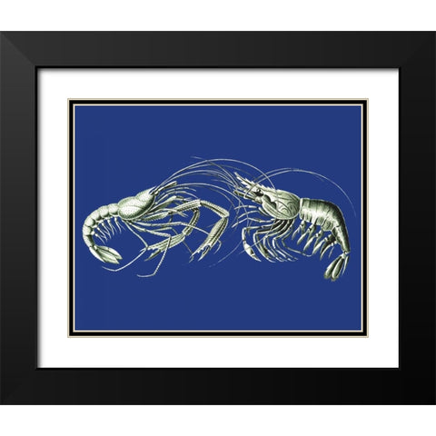 Shrimps On Blue Black Modern Wood Framed Art Print with Double Matting by Fab Funky