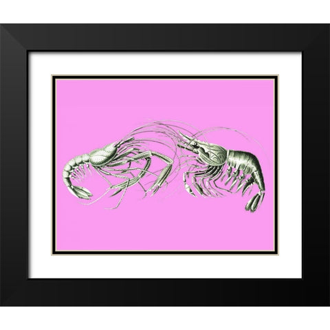 Shrimps On Pink Black Modern Wood Framed Art Print with Double Matting by Fab Funky