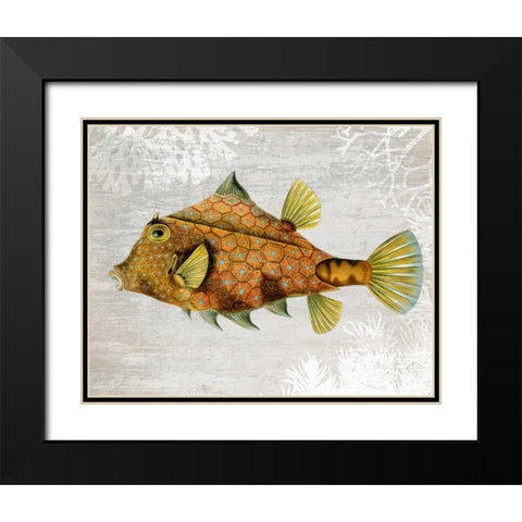 Gold Turret Fish Black Modern Wood Framed Art Print with Double Matting by Fab Funky