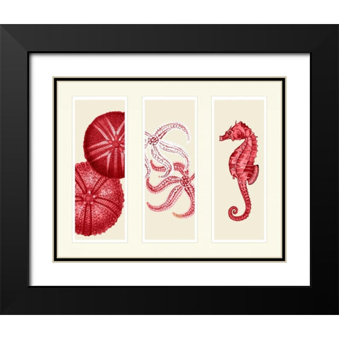 Three Panel Print Sea Urchin Starfish and Seahorse in Red Black Modern Wood Framed Art Print with Double Matting by Fab Funky