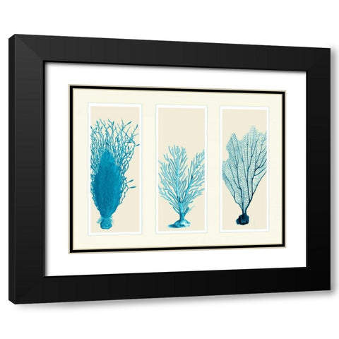 Blue Corals on 3 Panels Black Modern Wood Framed Art Print with Double Matting by Fab Funky