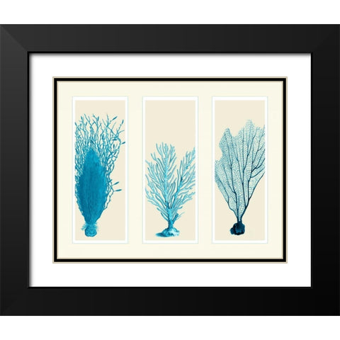 Blue Corals on 3 Panels Black Modern Wood Framed Art Print with Double Matting by Fab Funky