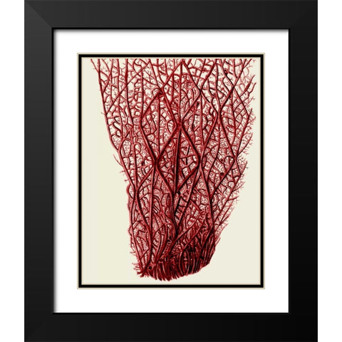 Red Corals 2 f Black Modern Wood Framed Art Print with Double Matting by Fab Funky