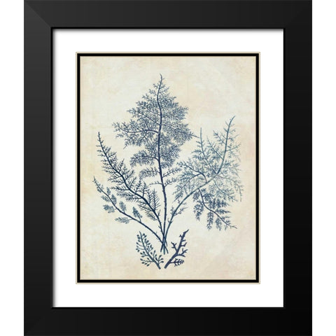 Indigo Blue Seaweed 1 d Black Modern Wood Framed Art Print with Double Matting by Fab Funky
