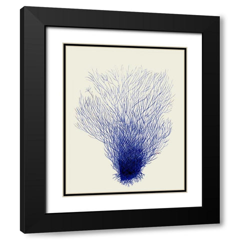 Blue Corals 2 d Black Modern Wood Framed Art Print with Double Matting by Fab Funky
