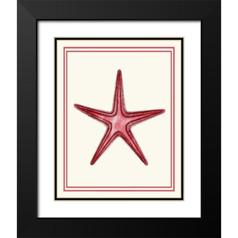 Mixed Nautical Coral on Cream a Black Modern Wood Framed Art Print with Double Matting by Fab Funky