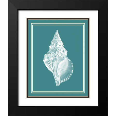 Mixed Nautical White on Teal c Black Modern Wood Framed Art Print with Double Matting by Fab Funky