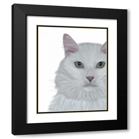 Cat, White Portrait on White Black Modern Wood Framed Art Print with Double Matting by Fab Funky