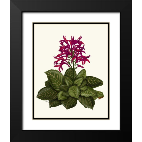Tropical Flower 1 Black Modern Wood Framed Art Print with Double Matting by Fab Funky