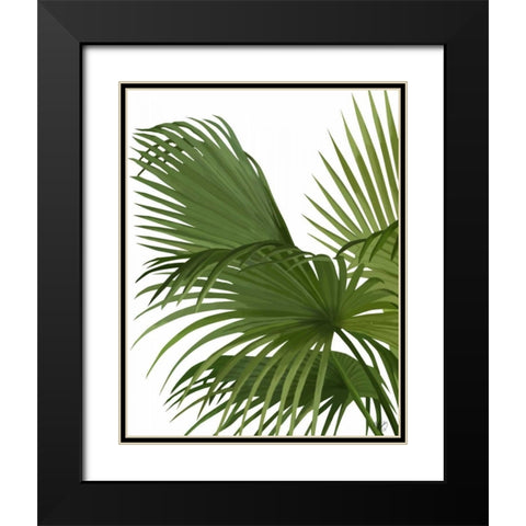 Fan Palm 2, Green on White Black Modern Wood Framed Art Print with Double Matting by Fab Funky