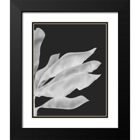 Banana Leaves 1, White On Black Black Modern Wood Framed Art Print with Double Matting by Fab Funky