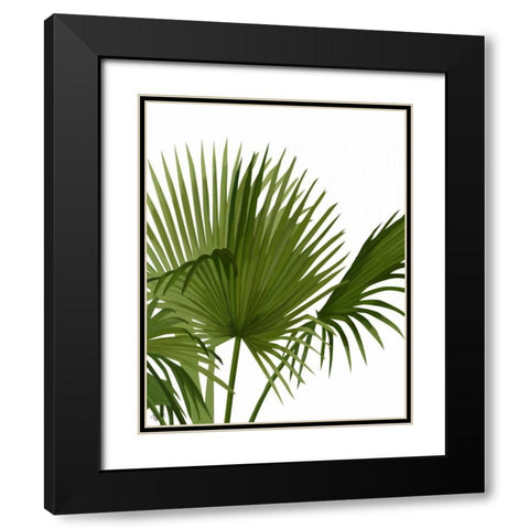 Fan Palm 1, Green on White Black Modern Wood Framed Art Print with Double Matting by Fab Funky