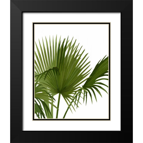 Fan Palm 1, Green on White Black Modern Wood Framed Art Print with Double Matting by Fab Funky