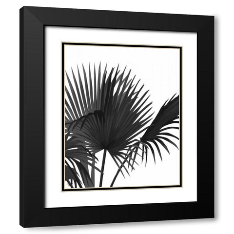 Fan Palm 1, Black On White Black Modern Wood Framed Art Print with Double Matting by Fab Funky