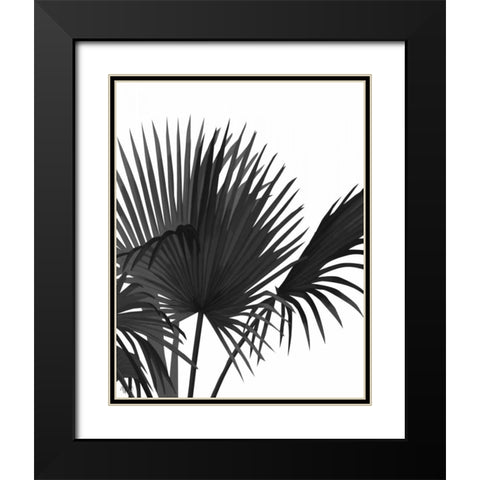 Fan Palm 1, Black On White Black Modern Wood Framed Art Print with Double Matting by Fab Funky