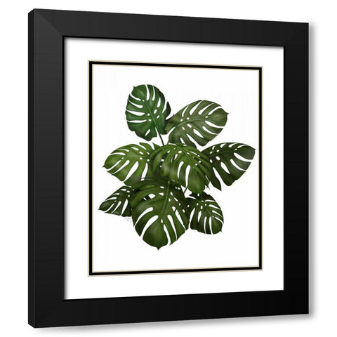 Monstera Plant, Green on White Black Modern Wood Framed Art Print with Double Matting by Fab Funky