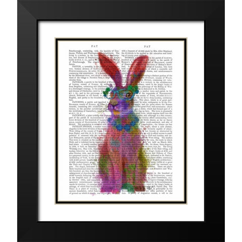 Rainbow Splash Rabbit 2, Full Black Modern Wood Framed Art Print with Double Matting by Fab Funky