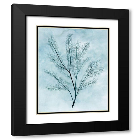 Clouds and Coral I Black Modern Wood Framed Art Print with Double Matting by Popp, Grace