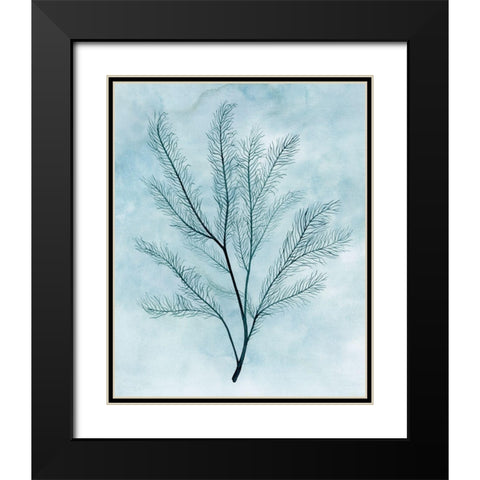 Clouds and Coral I Black Modern Wood Framed Art Print with Double Matting by Popp, Grace