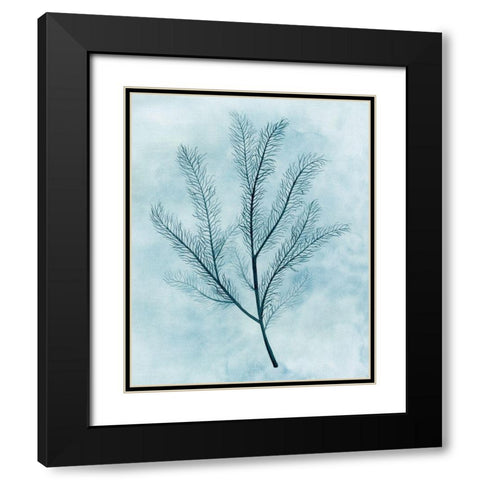 Clouds and Coral II Black Modern Wood Framed Art Print with Double Matting by Popp, Grace