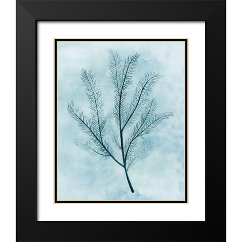 Clouds and Coral II Black Modern Wood Framed Art Print with Double Matting by Popp, Grace