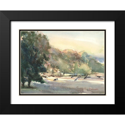 Sunlit Pasture I Black Modern Wood Framed Art Print with Double Matting by Calcasola, Stephen