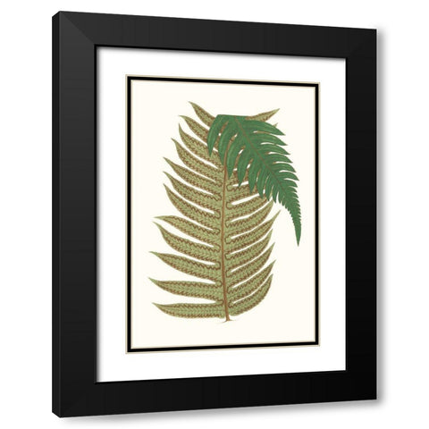 Collected Leaves II Black Modern Wood Framed Art Print with Double Matting by Vision Studio