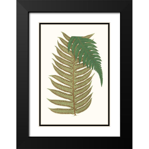 Collected Leaves II Black Modern Wood Framed Art Print with Double Matting by Vision Studio