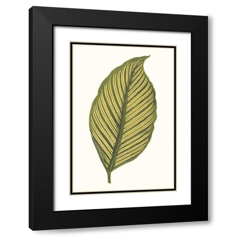 Collected Leaves III Black Modern Wood Framed Art Print with Double Matting by Vision Studio
