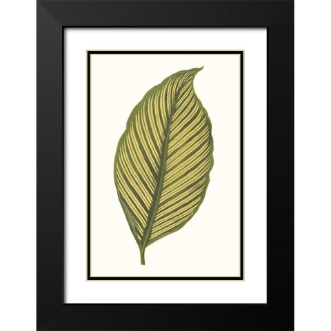 Collected Leaves III Black Modern Wood Framed Art Print with Double Matting by Vision Studio