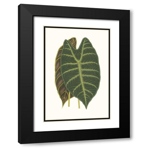 Collected Leaves V Black Modern Wood Framed Art Print with Double Matting by Vision Studio