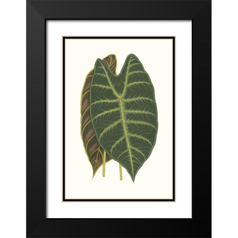 Collected Leaves V Black Modern Wood Framed Art Print with Double Matting by Vision Studio