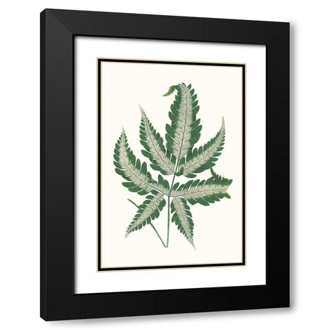 Collected Leaves VI Black Modern Wood Framed Art Print with Double Matting by Vision Studio