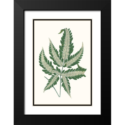 Collected Leaves VI Black Modern Wood Framed Art Print with Double Matting by Vision Studio