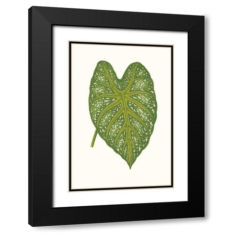 Collected Leaves IX Black Modern Wood Framed Art Print with Double Matting by Vision Studio