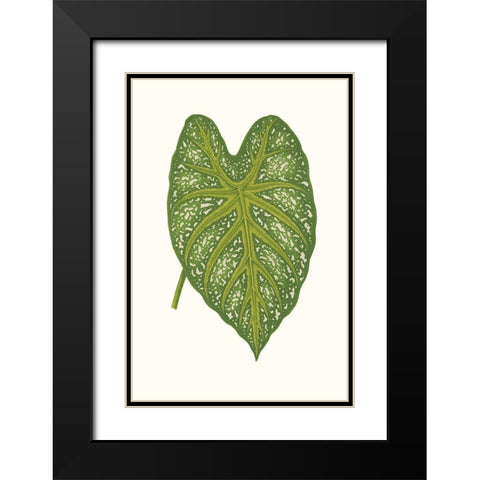 Collected Leaves IX Black Modern Wood Framed Art Print with Double Matting by Vision Studio