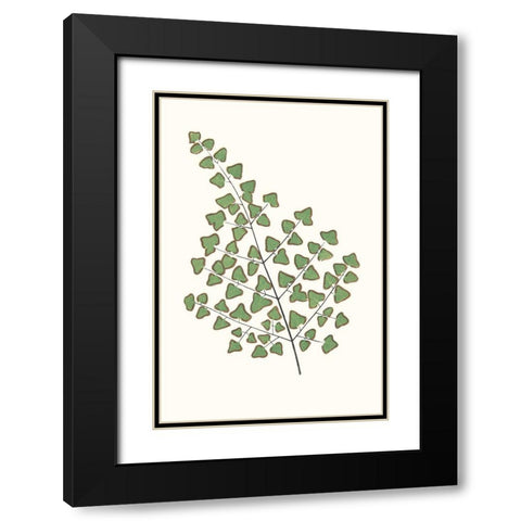 Collected Leaves X Black Modern Wood Framed Art Print with Double Matting by Vision Studio