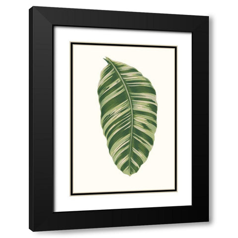 Collected Leaves XI Black Modern Wood Framed Art Print with Double Matting by Vision Studio